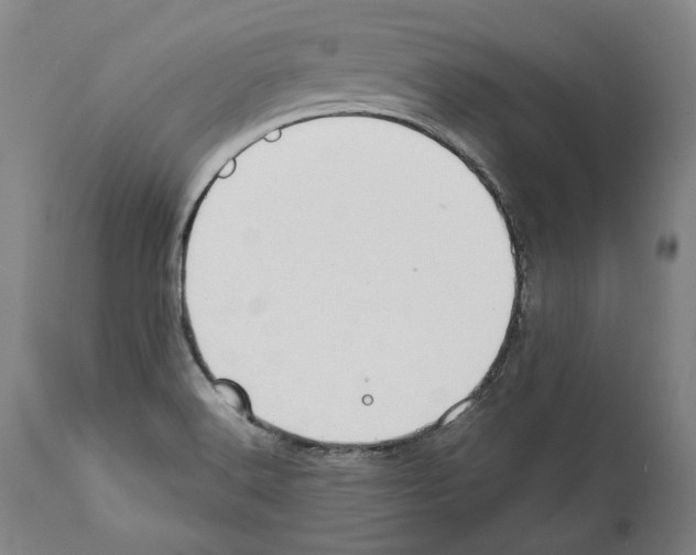 X0000112371516200909241137