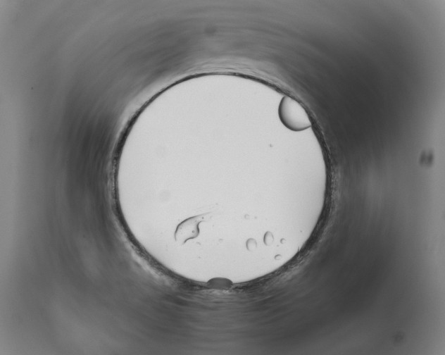 X0000112371517200909241137
