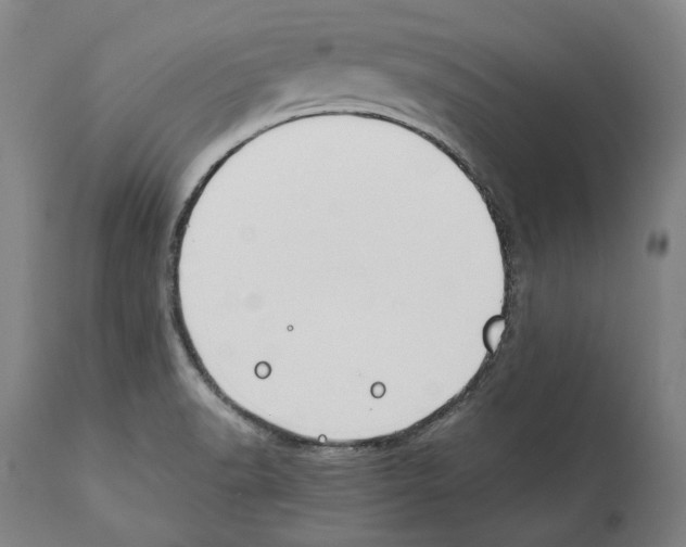 X0000112371518200909241137