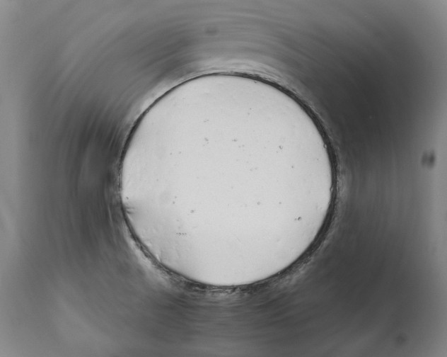 X0000112371521200909241137