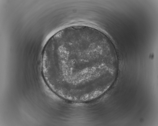 X0000112371522200909241137