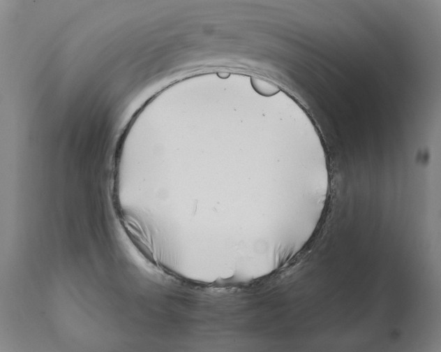 X0000112371523200909241137