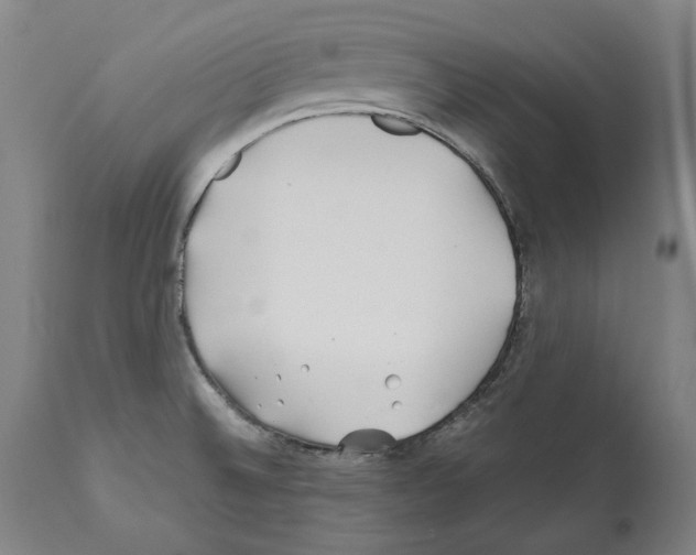 X0000112371524200909241137