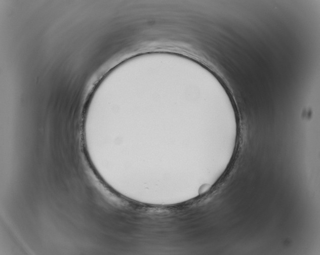 X0000112371525200909241137