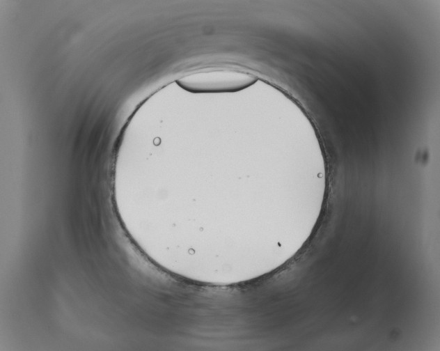 X0000112371526200909241137