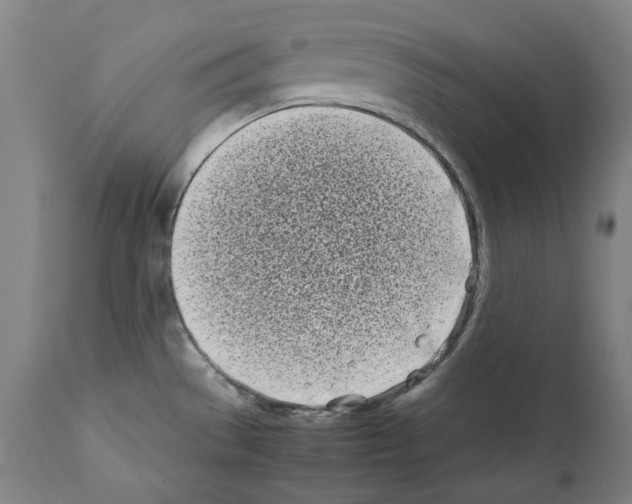 X0000112371529200909241138