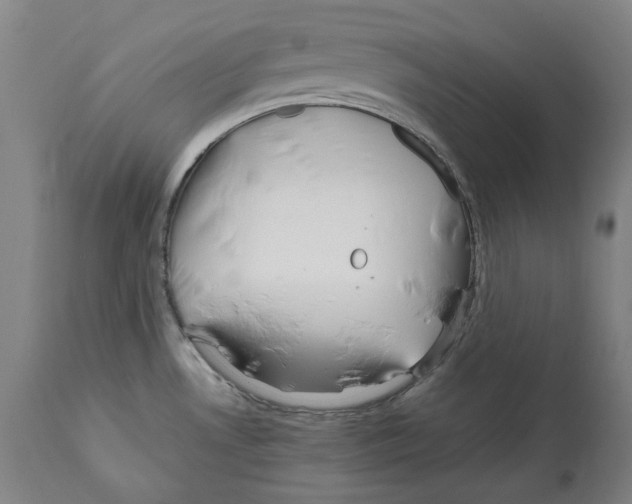 X0000112371530200909241138