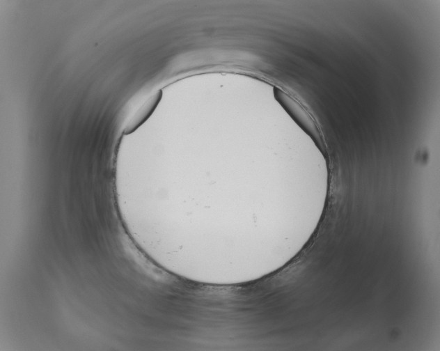 X0000112371532200909241138
