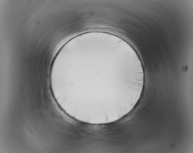 X0000112371533200909241138