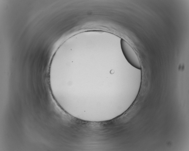 X0000112371536200909241138