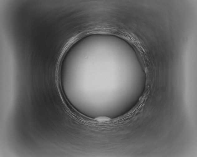 X0000112380003200908131333