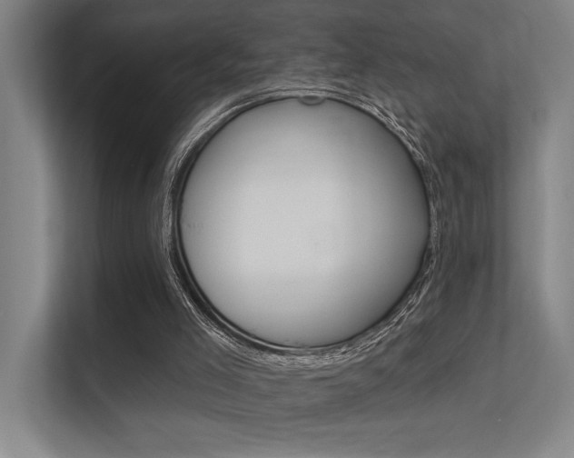 X0000112380005200908131333