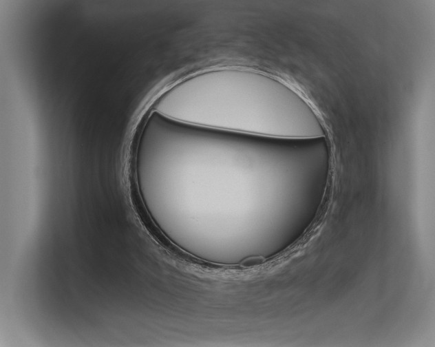 X0000112380007200908131333