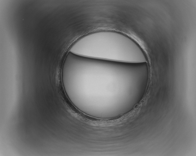 X0000112380009200908131333