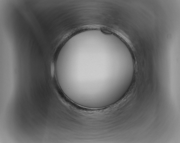 X0000112380013200908131333