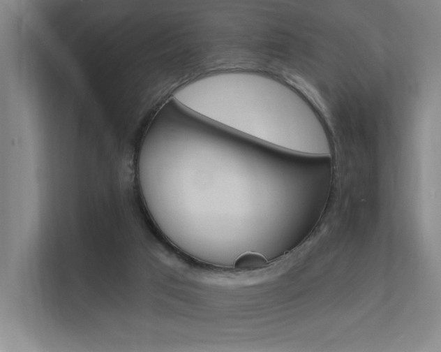 X0000112380017200908131333