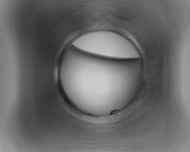 X0000112380019200908131333