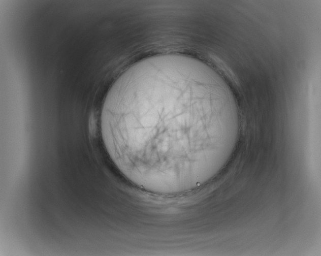 X0000112380026200908131333