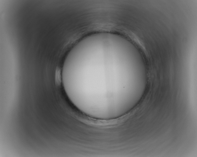 X0000112380027200908131333