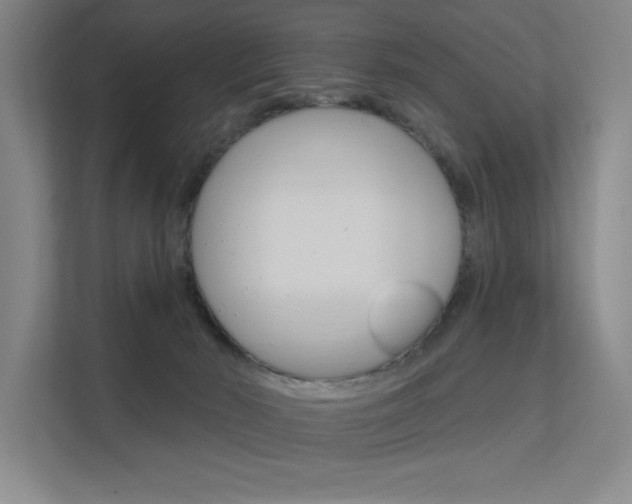 X0000112380030200908131333