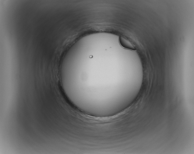 X0000112380031200908131333