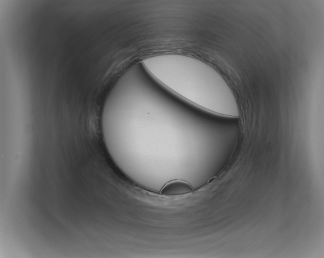 X0000112380035200908131332