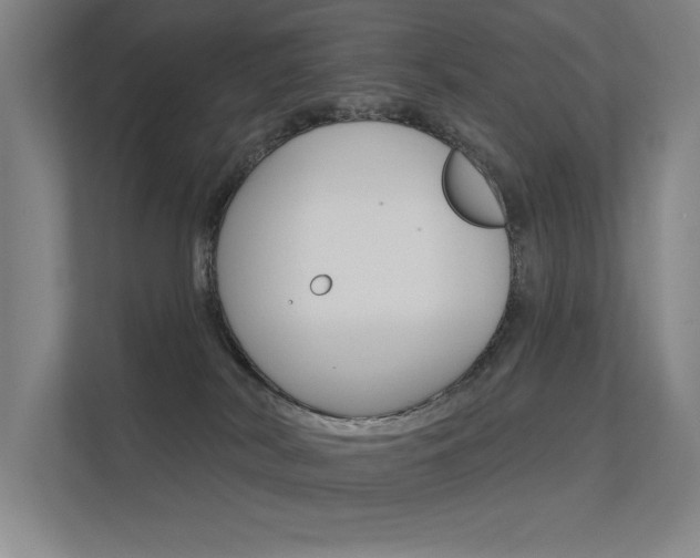 X0000112380038200908131332