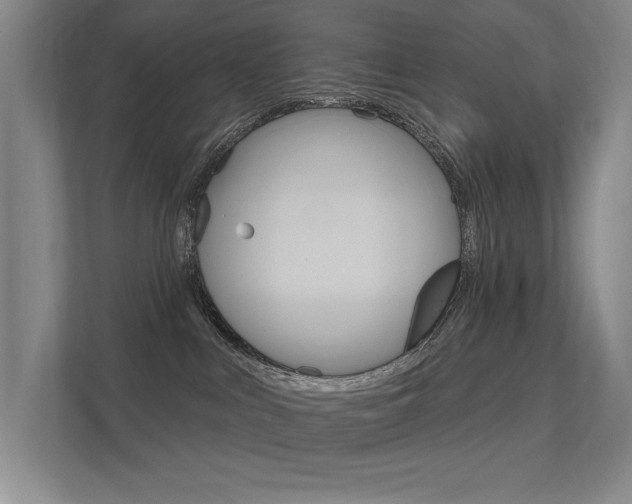 X0000112380043200908131332