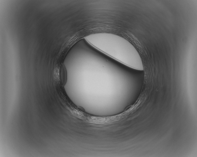 X0000112380045200908131332