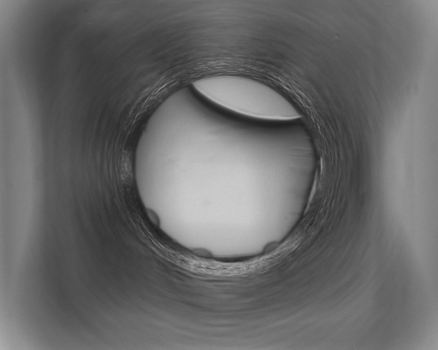 X0000112380048200908131332