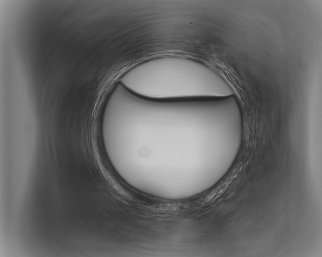 X0000112380049200908131332