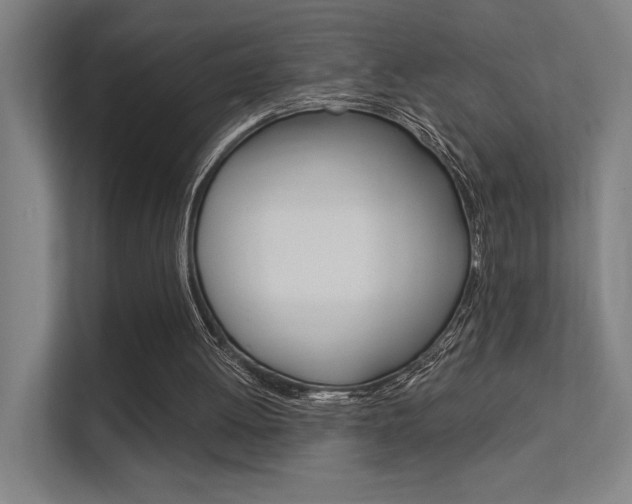 X0000112380052200908131332