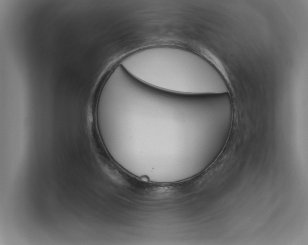 X0000112380059200908131332