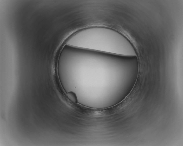 X0000112380060200908131332