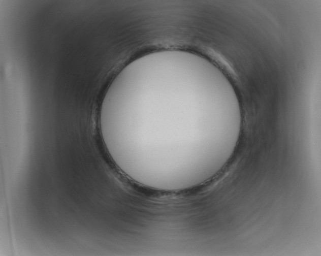 X0000112380065200908131332