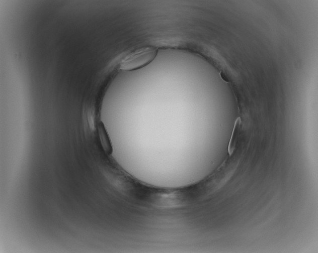 X0000112380068200908131332