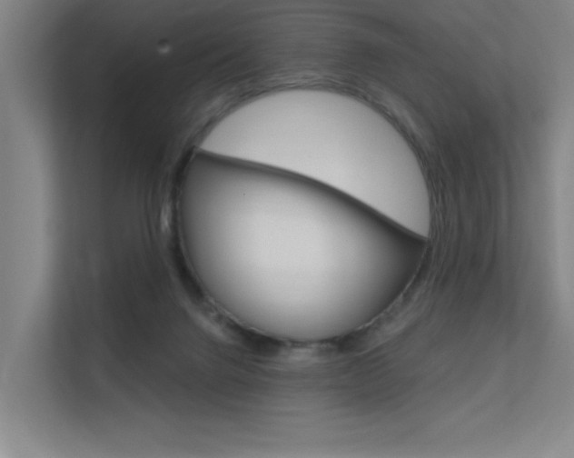 X0000112380072200908131332