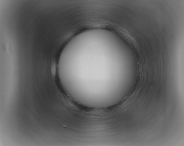 X0000112380076200908131332