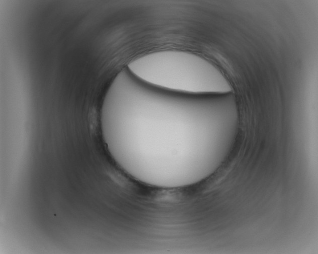 X0000112380077200908131332