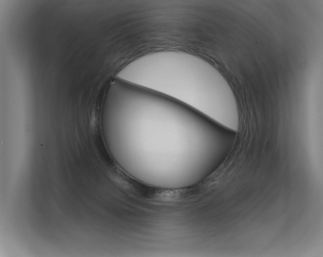 X0000112380084200908131332