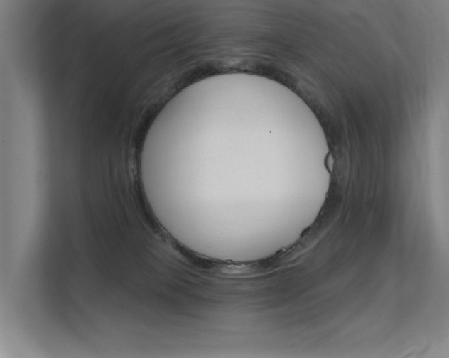 X0000112380085200908131332