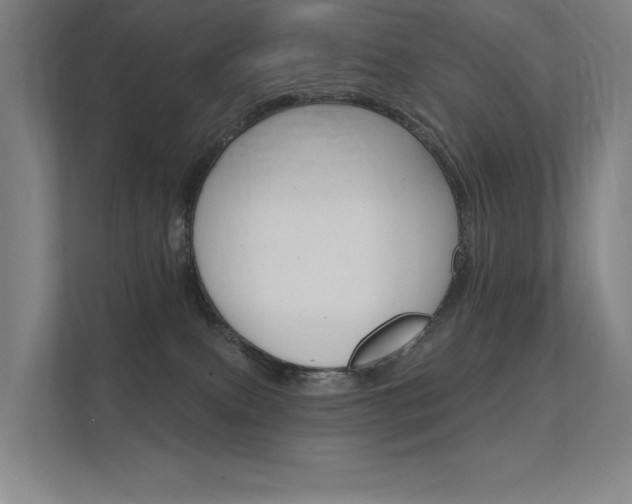 X0000112380087200908131332