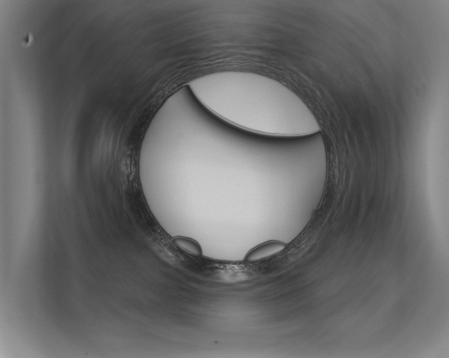 X0000112380091200908131332