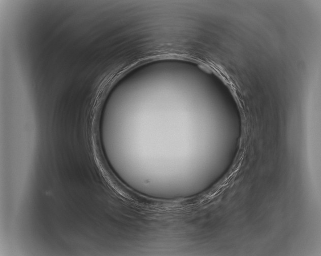 X0000112380097200908131332