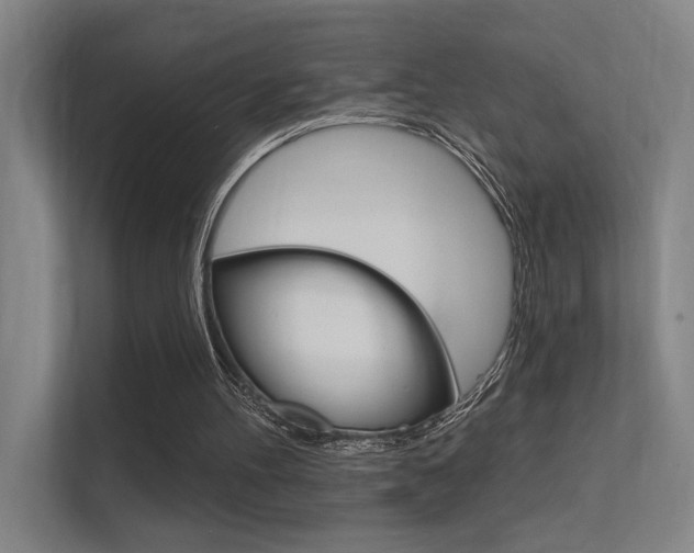 X0000112380100200908131332