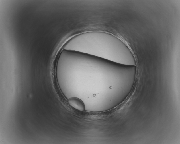 X0000112380103200908131332