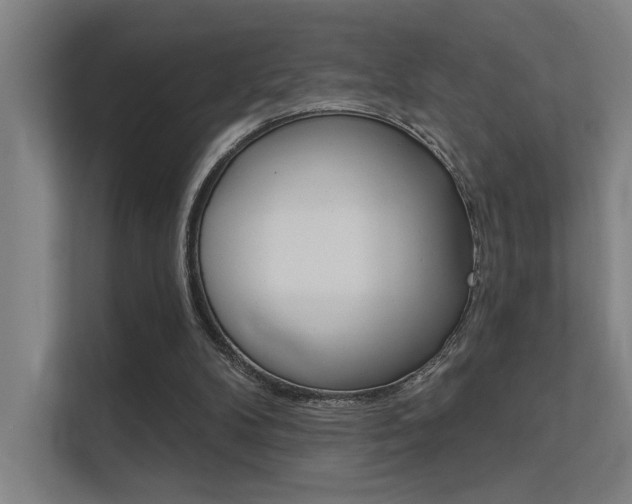 X0000112380104200908131332