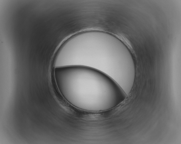 X0000112380108200908131332