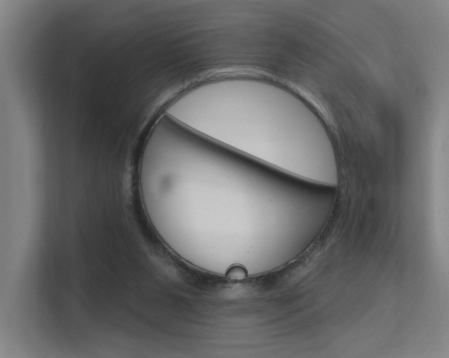 X0000112380111200908131331