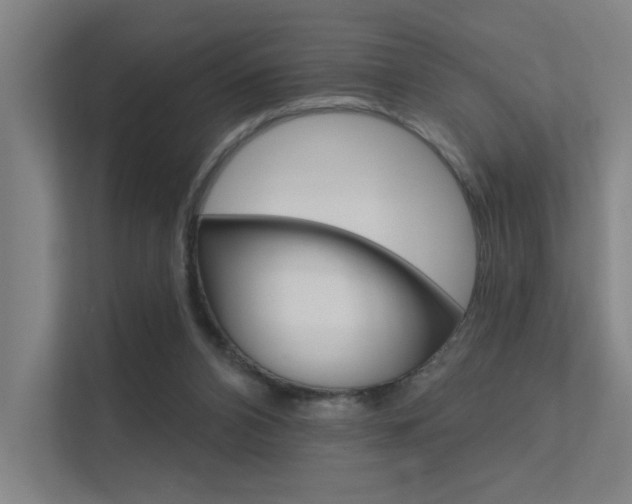 X0000112380112200908131331